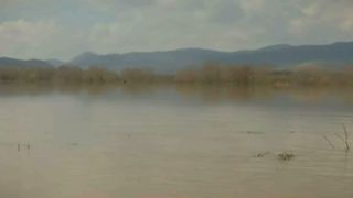 Sute de sateni din Covasna sunt disperati dupa ce digul care tinea in frau Oltul a cedat! Imaginile Apocalipsei surprinse de reporterul nostru!