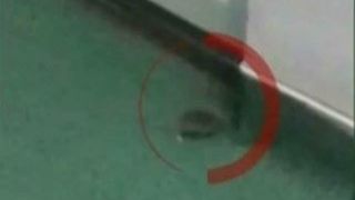 Scene ireale intr-un spital din Romania! Un barbat a filmat soareci langa patutul copilului sau!