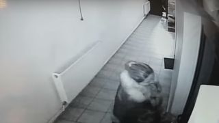 Bataie ca in filme in Primaria Stefanesti! Doua angajate si-au carat pumni si picioare. Cine sunt protagonistele