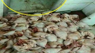 Asta e prea de tot! Pui eviscerati, gata de consum, depozitati in mizerie langa o toaleta publica, iar apoi serviti oamenilor in restaurante