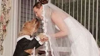 O femeie din Marea Britanie s-a casatorit cu cainele ei! Ceremonia a fost una speciala!