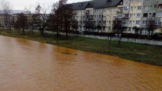 Dezastru de proportii la Targu Lapus! Mii de pesti morti au iesit la suprafata, iar apa rosie a inundat strazile! E ALERTA DE MEDIU