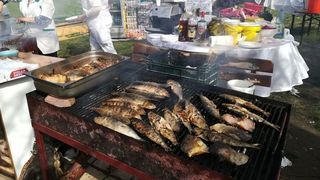 Situatie halucinanta la Galati! Chiar daca Dunarea a inghitit faleza, mii de cetateni s-au ingramadit la Festivalul Scrumbiei! "Odata sunt Floriile! Meritam si noi, macar acum!"