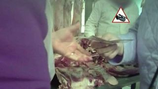 Aveti grija de unde cumparati carnea de Paste! Majoritatea pietarilor nu respecta regulile de igiena si depozitare! Urmariti un material filmat cu camera ascunsa!