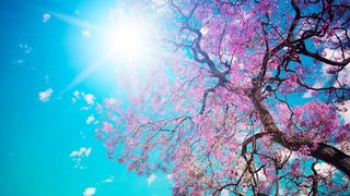 Cum va fi vremea in noaptea de Inviere si in prima zi de Paste