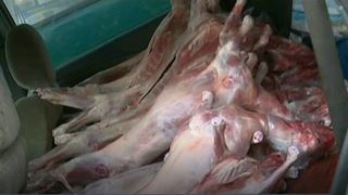 Mare atentie la ce cumparati! Pericolul din oua si carnea de miel