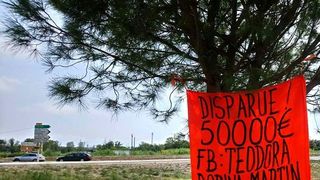 Un roman din Franta ofera o recompensa uriasa celui care ii gaseste sora. Povestea emotionanta a unui frate disperat