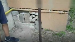 Caz revoltator, in Valcea! Un locatar a zidit de viu un caine