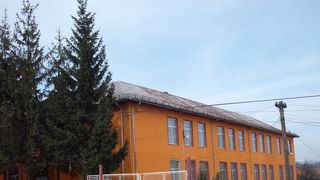 Scandal intr-un liceu gorjean! Cum au fost filmati doi baieti de 11 ani in curtea liceului! "Este regretabil!"