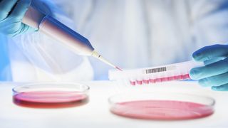 Descoperire uimitoare! O echipa de cercetatori a creat, intamplator, o bacterie care distruge plasticul!