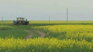 Romania, vanduta hectar cu hectar strainilor! Pana si autoritatile se tem de fenomenul alarmant!