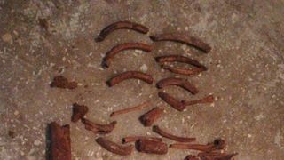 Misterul a fost deslusit! De unde proveneau oasele din baia unui barbat din Gorj