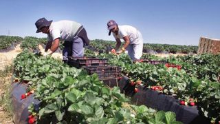 Lovitura pentru romanii din strainatate! Pe langa justificarea banilor pe care ii trimit in tara, ei trebuie acum sa faca si ASTA