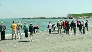 Nu a inceput inca sezonul estival, insa cei mai curajosi au facut deja baie in mare! Vremea a fost perfecta astazi pe litoral!