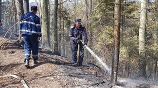 Incendiu intr-o padure din Bacau! Flacarile s-au extins pe o suprafata de 6 hectare!