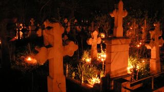 Au fost prinsi iesind din cimitir la miezul noptii cu sacosele pline. Cand au vazut ce era inauntru, politistii din Suceava au avut un soc! Tinerii au fost arestati pe loc