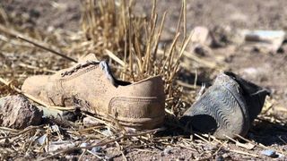 Descoperire infioratoare facuta de autoritati. Cadavrele a peste 300 de bebelusi au fost descoperite la o groapa de gunoi! INFIORATOR