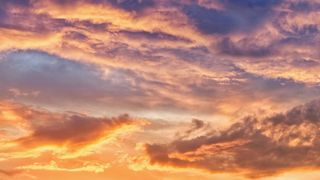 Alerta maxima dupa temperaturile record. Specialistii atentioneaza populatia asupra pericolului: Este otravitor