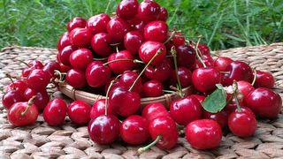 Nu e de gluma! Ai grija de unde cumperi cirese! Statul Roman a confiscat peste 550 de kilograme de fructe dupa ce au gasit ASTA in ele! GROAZNIC