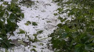 Vremea rea a facut prapad si in Arges! Culturile sunt distruse, se plang localnicii