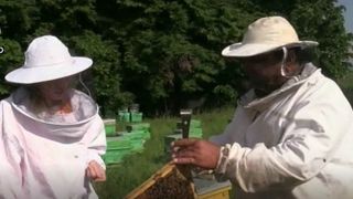 A renuntat la un trai linistit in strainatate pentru o afacere cu albine. Care este motivul si cat castiga acum tanara