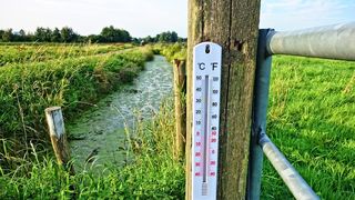 Vremea se schimba radical! Care sunt zonele afectate in minivacanta de Rusalii