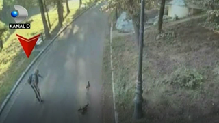 Incredibil! Un barbat din Craiova a fost prins la furat de RATE! Explicatia pe care a dat-o este hilara