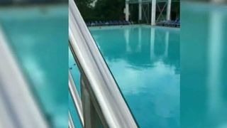 Angajatii unui strand din Timisoara au avut parte de surpriza vietii! Ce au gasit in piscina!