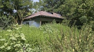 Satul din Romania din care a plecat toata lumea! Lupele abia mai numara 20 de locuitori, niciunul sub 50 de ani!