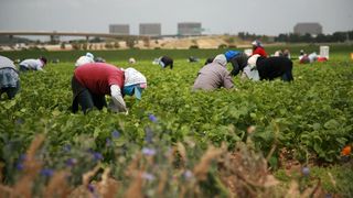 Anunt URIAS pentru romanii care muncesc in strainatate! Ce se va intampla cu banii trimisi de ei familiilor din tara