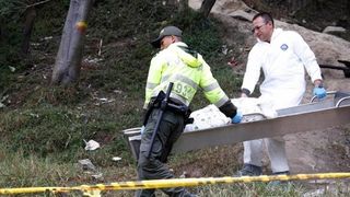 Cadavrul in descompunere al unui roman de 27 de ani a fost gasit intr-o padure din Germania. Care sunt primele ipoteze ale politistilor!