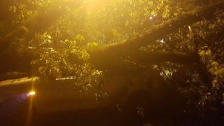 Craiovenii au dormit cu frica dupa ce mai multi copaci s-au prabusit si mai multe case au fost inundate in urma furtunii