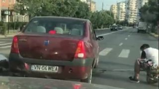Hingherii au oprit traficul in Focsani. Unde era bietul animal