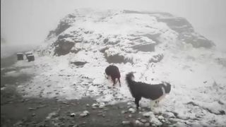 In Romania ninge, iar stratul de zapada a depasit 3 centimetri. Ce spun specialistii despre fenomen