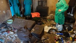 Focar de infectie intr-un apartament din Capitala! Femeia le lua de pe strada si le aducea acasa!