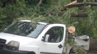 Un copac a cazut pe o masina si o locuinta in Brasov! Mai multe persoane au fost ranite, printre care si doi copii!