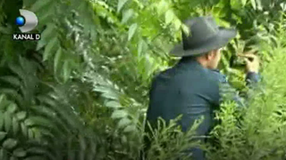 Decizie uluitoare! Timp de sase luni, municipiul Campina va fi monitorizat de Sherlock Holmes