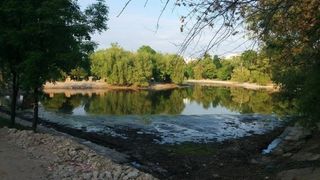 S-a aflat care e cauza dezastrului ecologic din Parcul Bordei, unde zeci de rate au fost gasite moarte