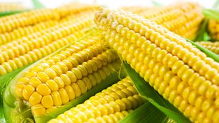 Noua oameni au murit dupa ce au mancat porumb congelat adus din Ungaria. De vina ar fi fabrica de ambalare a porumbului