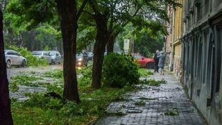 Ploaia torentiala a facut DEZASTRU in Bucuresti! Autoritatile intervin de urgenta! Masini distruse, pomi rupti si case inundate