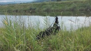 Un baiat de 14 ani a vazut cum tatal lui arde de viu! Erau impreuna la pescuit in Lipanesti, Prahova