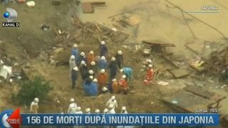 Japonia, maturata de ape! Bilantul sumbru a ajuns la 156 de morti