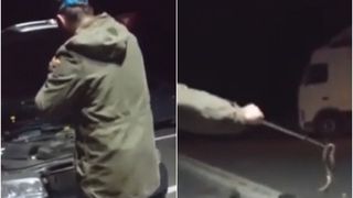 La un pas de accident din cauza unui sarpe! Soferul a trait spaima vietii sale pe autostrada A1