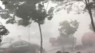 Furtuna tropicala care a lovit astazi litoralul a adus grindina si rafale puternice de vant. Statiunea Mamaia si orasul Constanta au fost maturate de potop