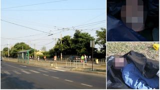 Panica in Capitala! Doua cadavre au fost gasite infasurate in folii de plastic pe bulevardul Timisoara!