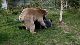 Tanar atacat de urs la Baile Tusnad! Incidentul s-a produs chiar in mijlocul orasului!