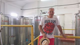 Afacerea cu vinuri a lui Mugur Isarescu este in cadere libera! Profitul firmei guvernatorului BNR este cel mai mic din ultimii 9 ani, iar datoriile sunt de peste 3 milioane de lei!