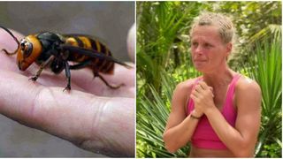 Mariana Nenu era sa moara la maratonul Mures 24h!