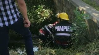 Cadavrul unui barbat, descoperit intr-un sant de un vacar! Cine era persoana decedata!