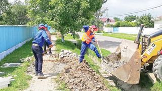 Vietnamezi la Flamanzi! O firma din Botosani a ajuns sa angajeze asiatici pentru ca niciun roman n-a vrut sa munceasca!